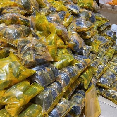 Montaje de motor de amortiguador de motor personalizado Purple Horn para SH240-5